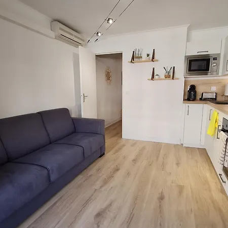 Apartment Climatise, Balcon, Parking, Centre-ville, 50m Plage, - Fr-1-780-31